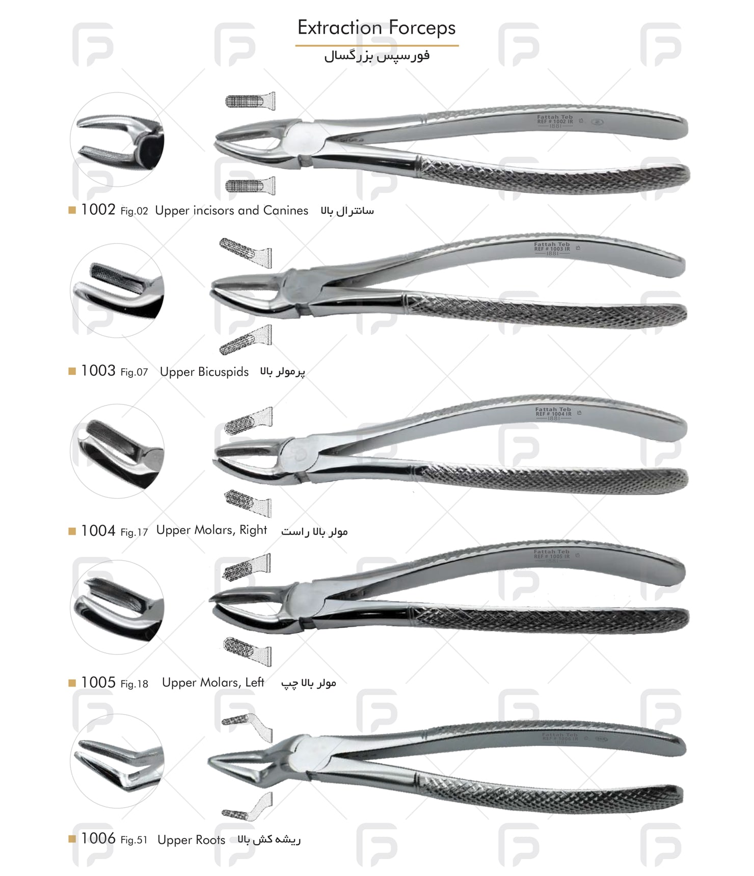 forceps